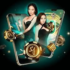 bet95944